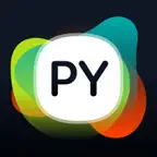 Изучаем Python: CodX icon