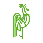 draut foods iOS Icon