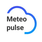 Meteopulse - tides and waves iOS Icon