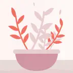 Space Create iOS Icon
