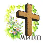 words from the Book of Wisdom iOS Icon