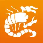 Canella Moto iOS Icon