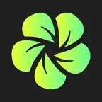 Bloom - Photo Editor iOS Icon