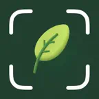 Plant Identifier: Plant Care iOS Icon