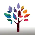 Lifetree Player iOS Icon
