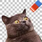 PNG Maker－Delete Background iOS Icon