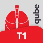 qubeT1 by SKILLQUBE iOS Icon