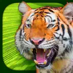 Virtual Reality Animals! iOS Icon