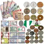 Nigerian Currency Gallery iOS Icon