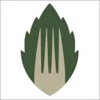 Green Fork iOS Icon