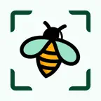 Bug Identifier: Insect ID + iOS Icon
