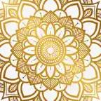 Mandala Maker 360 iOS Icon