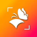 Say Yes iOS Icon
