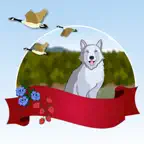 Pitakan iOS Icon