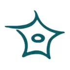 SFNC 2026 iOS Icon