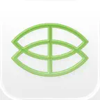 Bambusa icon