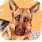 Dog Breed Identifier PRO iOS Icon