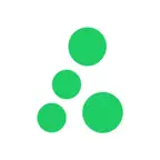 Lychee app Icon