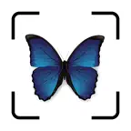 Bug IdentifierーIdentify Insect iOS Icon