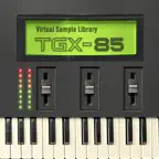 TGX-85 Virtual Sample Library iOS Icon