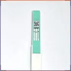 Early Pregnancy Test icon