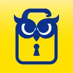 Storeasy icon