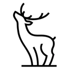 Novels By AI iOS Icon