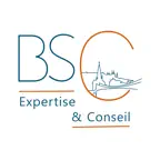 BSC iOS Icon