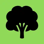 Trees in Hamburg iOS Icon
