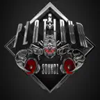 Platinum Soundz Ent iOS Icon