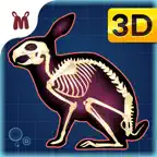 Marbel Sains : Anatomi Hewan iOS Icon