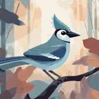 Feather Finder - A Bird Guide iOS Icon