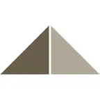 TASC Towers Preprod iOS Icon