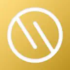 Simple WebSocket Client icon