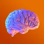 The Brain Tour iOS Icon