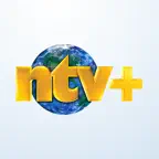 NTV+ icon