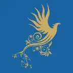 Turkish Stories Icon
