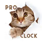 Cat Clock App Pro.No Ads iOS Icon