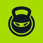 Personal Ninja iOS Icon