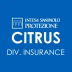 Citrus Divisione Insurance iOS Icon