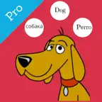First Words International PRO iOS Icon