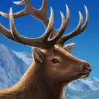 Cascadia Digital iOS Icon