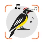 Bird Sounds Identifier Call ID icon