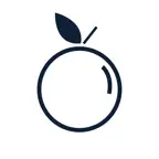 Blue Apple Workplace Catering iOS Icon