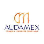 AUDAMEX iOS Icon