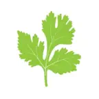 Coriander Newport iOS Icon