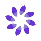 ACHIEVE study iOS Icon