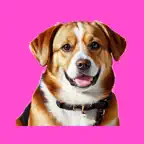 Golden Puppy Stickers iOS Icon