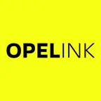 Opelink ES iOS Icon