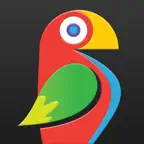 Brushstroke Pro for iPad iOS Icon